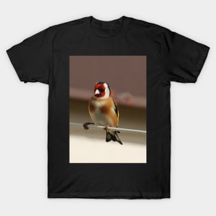 goldfinch T-Shirt